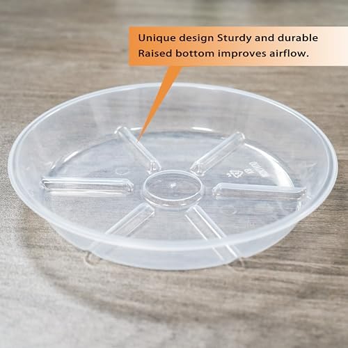 6 Pack Plant Saucers, 10 inch Clear Plant Trays, Durable Round Plastic Flower Plant Water Drip Tray for Pots Planter, Heavy Duty Plant Dish Pant Plate to Catch Water for Indoor & Outdoor