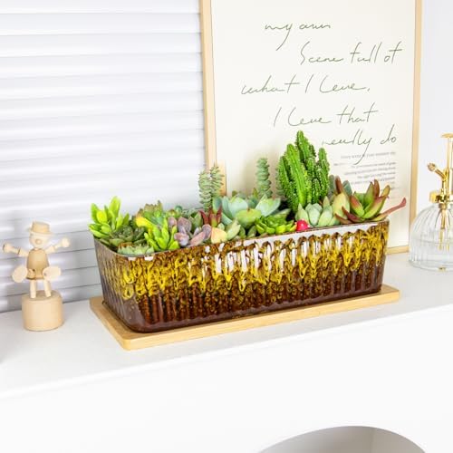 Succulent Pots, 12'' Long Rectangle Planters with Tray, Windowsill Planter