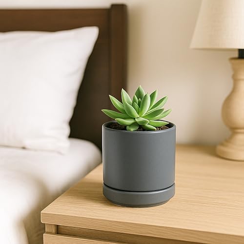 D'vine Dev 3.5 Inch Ceramic Planter Pot, Grey, 94-O-A-3