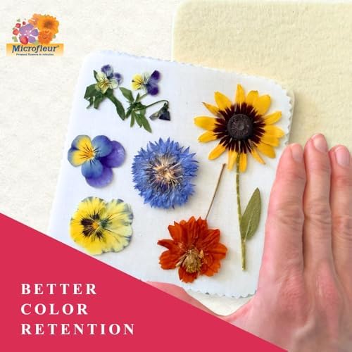 Microfleur Microwave Flower Press Refill Pack, DIY Floral Art - 5" (13 cm)