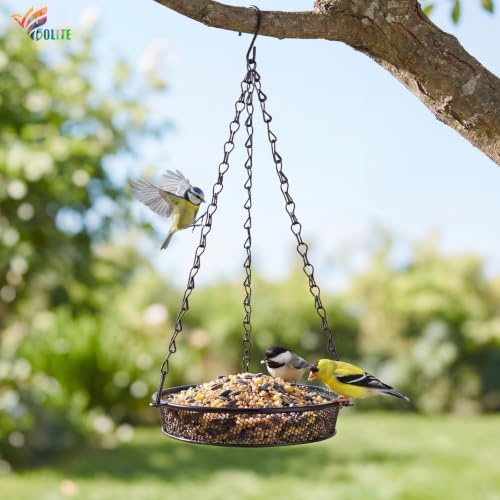 BOLITE Hanging Bird Feeder, Platform Feeders for Outside, Metal Mesh, 2Pack