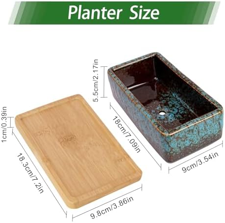 Succulent Pots, 7'' Large Long Rectangle Planters with Drainage Tray