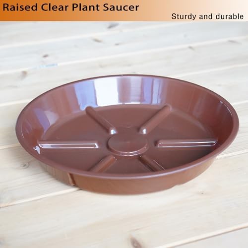 Plant Saucer Pot Tray 6 inch, 6 Packs Flower Planter Saucers, Heavy Drainage Tray for Indoors No Holes, Plastic Plant Saucers Water Catcher for Pots Base, Chocolate