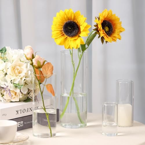 Fixwal 12pcs Clear Glass Cylinder Vases, 4, 6, 8, 10 Inch Tall