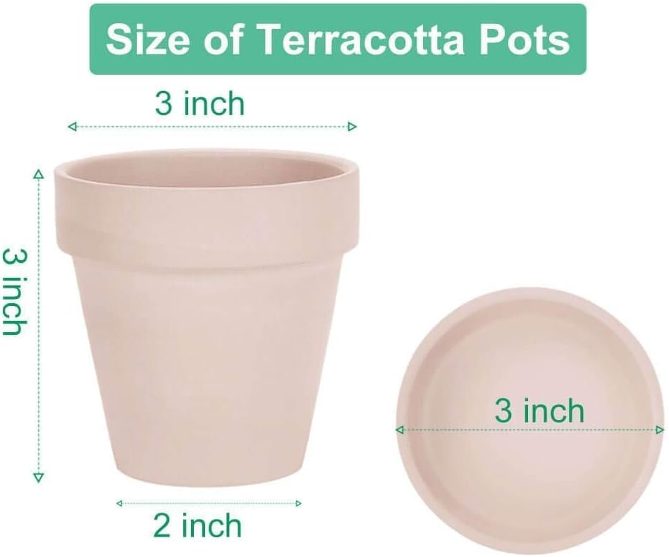 3 Inch Pink Terracotta & Clay Pots with Saucer, 12 Pack | Clay Flowerpot with Drainage, Nursery pot for succulents