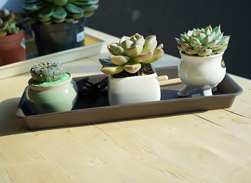 VUWEZ 2 Pack of Plastic Plant Tray Saucer Rectangular 14 inch, Plant Trays Saucers for Indoors Outdoor, Plant Water Drip Tray for Flower Pot Planter, Windowsill Plant Tray (6.8 X 14.5'', Brown)