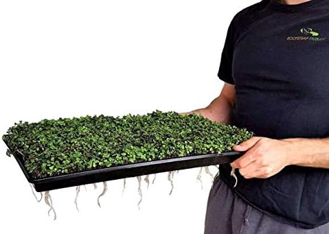 Bootstrap Farmer Extra Strength 1020 Trays, Purple with Holes, 10 Pack