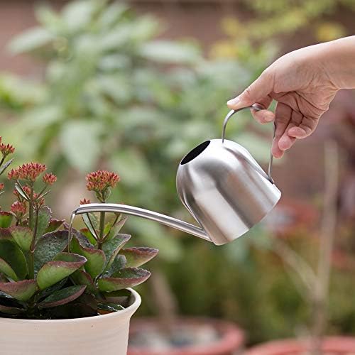 Watering Can for Indoor Plants, 450ml/15oz Stainless Steel