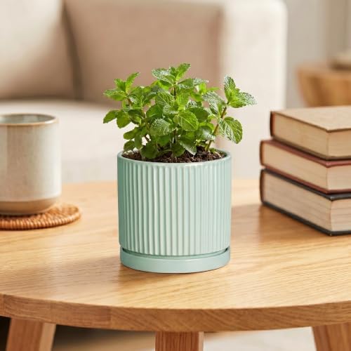 Ceramic Plant Pots, 4 Inch Pots for Plants with Tray, Mint Green