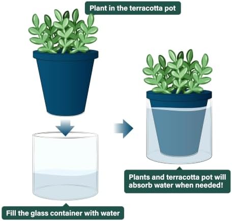 D'vine Dev Self-Watering Blue Terracotta Planter, 4 in, 2-Pack, 37-Y-A-4