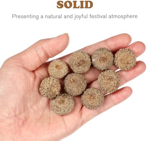 Ciieeo 100 Pcs Natural Acorn Caps - Light Brown Dried Botanical Vase Fillers for Home Decor | Rustic Plant Material for Autumn Wedding Thanksgiving and Christmas Ornaments