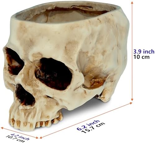 READAEER Skull Planter with Drain Hole, Resin Skull Shaped Flower Pot Candy Bowl, Gothic Decoration for Home Office Desk- White