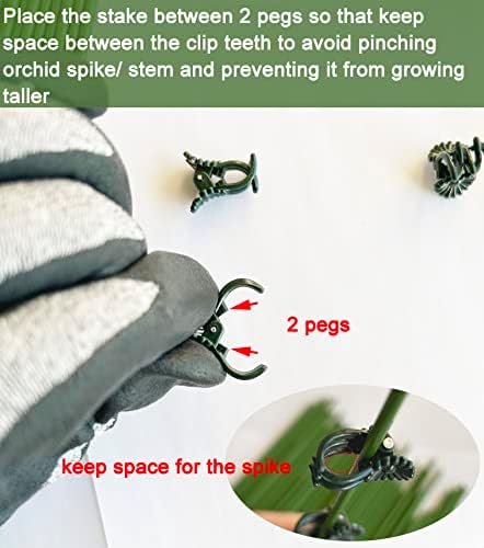 Orchid Clips for Plants Support (100, Green) for Small - Middle Climbing Plants Vine Plants & Single Stem Plants