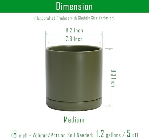 D'vine Dev 8.2 Inch Ceramic Planter Pot, Olive, 94-O-D-J