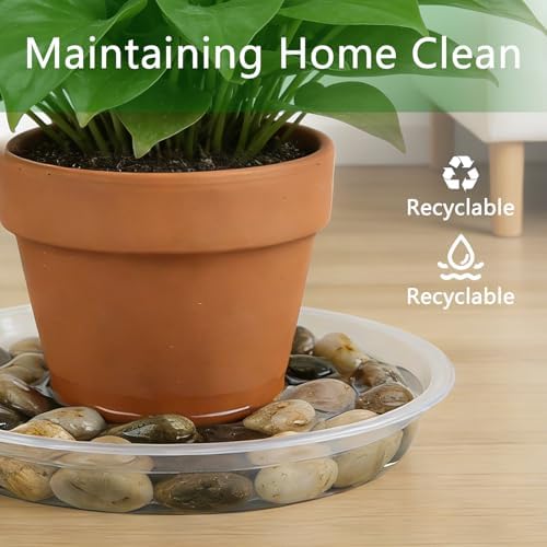 6Pack Plant Saucer, 3 5 7 9 11 13 15 17 19 21 in Plastic Plant Tray