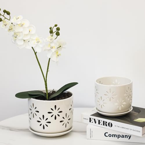EFISPSS Orchid Pot 5+6 Inch, Ceramic Orchid Pots with Holes, Enhance Good Ventilation and Drainage, Orchid Pots Indoor/Outdoor Plants or Repotting -White