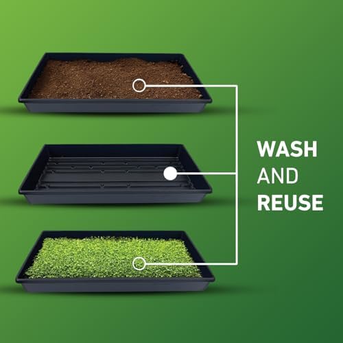 10x20 Inch Black Plastic 50 Pack Plant Propagation Tray No Holes