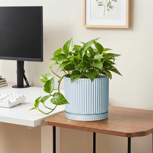 Ceramic Planter, 8 Inch Flower Pots, Round Plant Pot, Light Blue