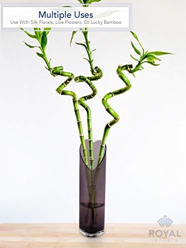 Royal Imports Heart-Shaped Glass Flower Vase 12" Tall, 3"x4" Opening