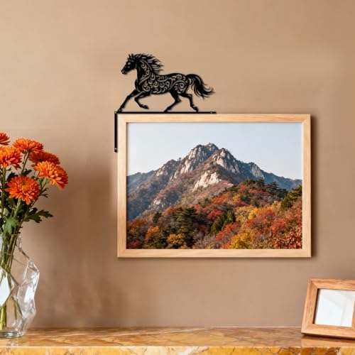 CUTHOLLOW Patterned Horse Door Topper Sign Wall Art Decor