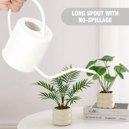 Plant Watering Can, 50 oz / 1500 ml Stainless Steel Metal - Modern Decorative with Long Spout for Indoor Potted Plants, Bonsai, Garden Flowers, Cream White