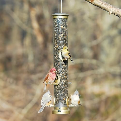 Aspects Small Seed Tube Feeder in Blue Size: Large, Finish: Antique Brass
