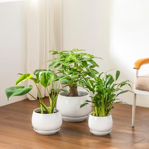 vancasso 3-Pack Ceramic Plant Pots, 7.3/9.6/11.6 Inch Indoor Planters with Saucers & Drainage Hole Planter pots for Indoor Plants and Flower, White