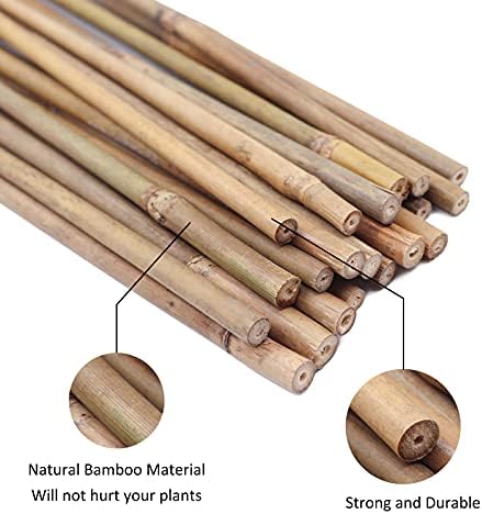 GAGINANG Natural Bamboo Garden Stakes, 20pcs Plant Sticks 16 inches