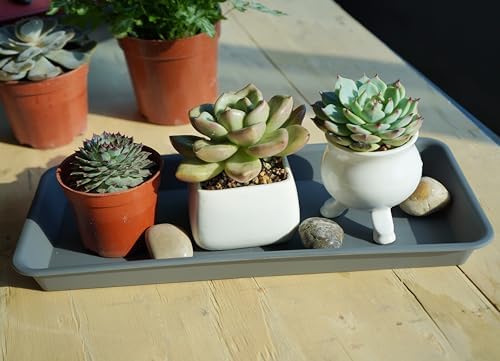 VUWEZ 2 Pack of Plastic Plant Tray Saucer Rectangular 17 18 inch, Plant Trays Saucers for Indoors Outdoor, Plant Water Drip Tray for Flower Pot Planter, Windowsill Plant Tray (7.8 X 17.5'', Gray)