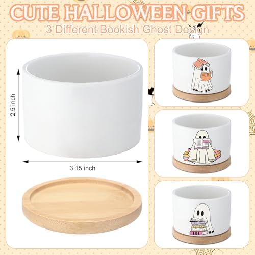 Mimorou 3 Pcs Ghost Succulent Planters Pots, Boo Basket Stuffers for Women