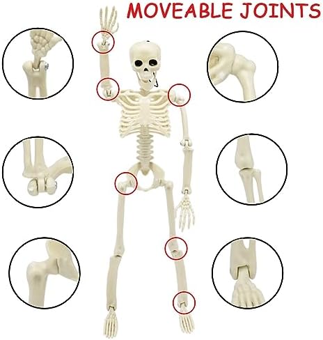 6 Packs Halloween Skeletons, 16 Inch Posable Skeletons for Halloween Props