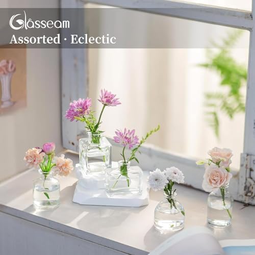 Glasseam Small Vases for Flowers, Clear Mini Glass Bud Vases Set of 5