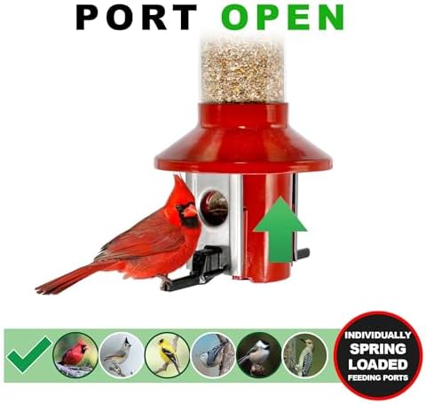 Roamwild PestOff Red Squirrel Proof Cardinal Bird Feeder Mixed Seed Sunflower Heart Version - RED - 3LBS Seed Capacity – 20.5”x7.5”x7.5” (w/Hanger)