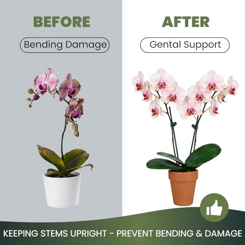 50Pcs Dark Green Large Orchid Plant Clips for Thick Stem Support