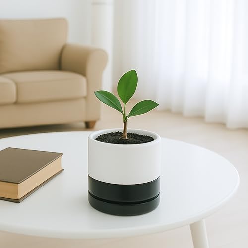 D'vine Dev 4.7 Inch Ceramic Planter Pot, Black White Two Tone, 94-O-B-L