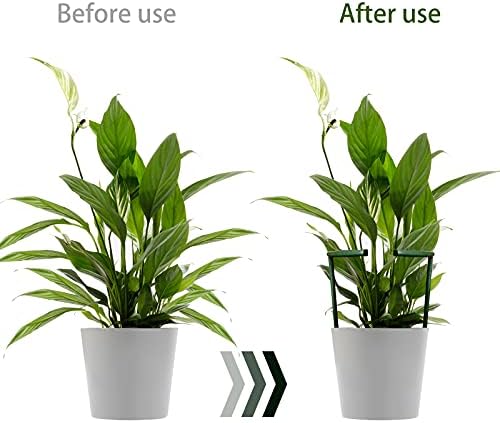 12 Pack Plant Support Stakes with 24 Pcs Clips, Half Round Ring Plastic Cage Holder Flower Pot Climbing Trellis for Small Vegetable,Indoor Plants