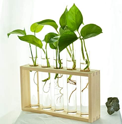 Wooden Propagation Station with 5 Glass Test Tubes, Tabletop Glass Terrarium Holder for Plant Cuttings Hydroponics, Home Office Desk Decor Gift for Women Mom Plant Lovers, Beige