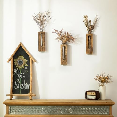 Farmhouse Wall Plant Propagation Station with Glass Tubes