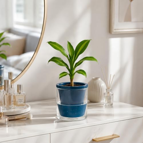 D'vine Dev Self-Watering Blue Terracotta Planter, 4 in, 2-Pack, 37-Y-A-4