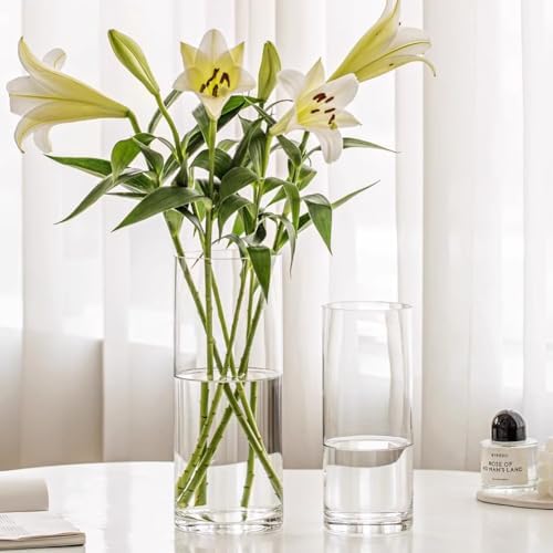 Olrla Clear Cylindrical Acrylic Vase, Set of 3, Shatterproof