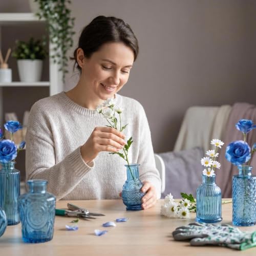 Mini Bud Vases Centerpieces for Tables,Clear Bud Vases for Flowers,Small Flower Vases Suitable for Birthday Party,Anniversary,Wedding Reception,Baby Shower (Blue, 12PCS)