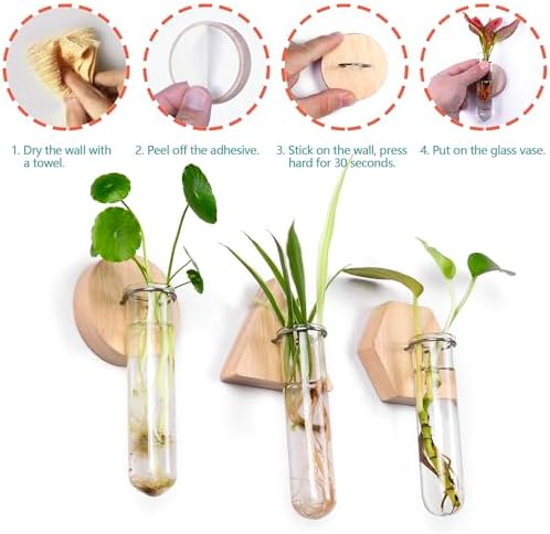 Wall Hanging Glass Planter Plant Propagation Station
