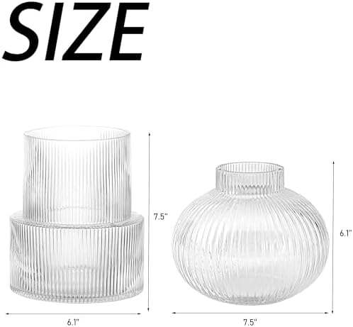 Ribbed Glass Vases, Set of 2 Fluted Vases for Flowers, Clear Glass Vase for Tulips, Modern Vase for Living Room, Kitchen, Office, Entryway, Mantle, Bookshelf, Wedding Gifts, Birthday