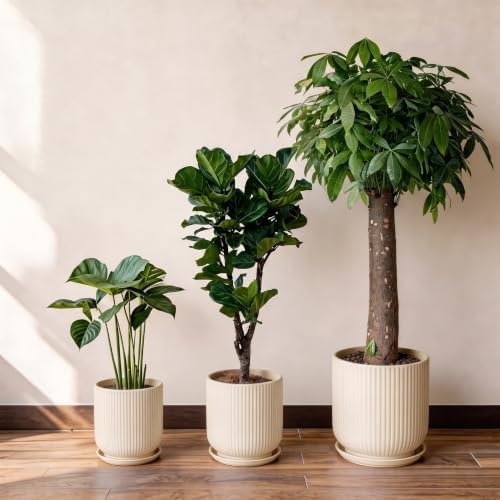 Deep Dream 12 Inch Ceramic Pots for Plants, Heavy Plant Pot for Indoor Outdoor Plants, Large Plant Pot with Drainage Hole and Saucer, Modern Tall Flower Pot, Gifts for Plant Lovers, Cream