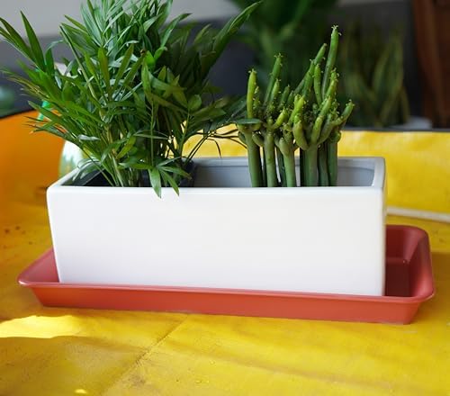 VUWEZ 6 Pack of Plastic Plant Tray Saucer Rectangular, Plant Trays Saucers for Indoors Outdoor, Plant Water Drip Tray for Flower Pot Planter, Windowsill Plant Tray (6.5 X 13 Inch, Terracotta)