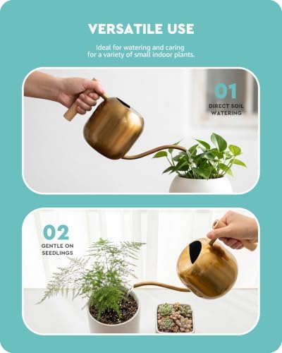 Baffect Watering Can Indoor Plants with Long Spout, 1.2L / 41oz (Glod)