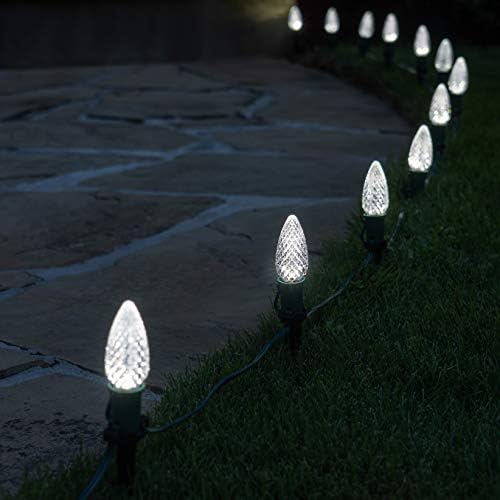 Wintergreen Lighting 50’ OptiCore LED Cool White Christmas Pathway Lights, C9 Outdoor White Christmas Lights, 4.5” Stakes, Green Wire Plug String Lights