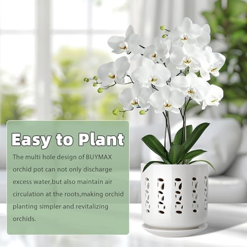 BUYMAX Ceramic Orchid Pots with Holes Orchid Root Care Set of 2 Flower Pot