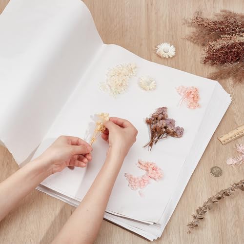 BENECREAT 100Pcs Flower Press Paper, Blotting Paper for Herbarium Craft, Large Blotter Paper for Herbarium and Flower Press, 16.5×23.6inch