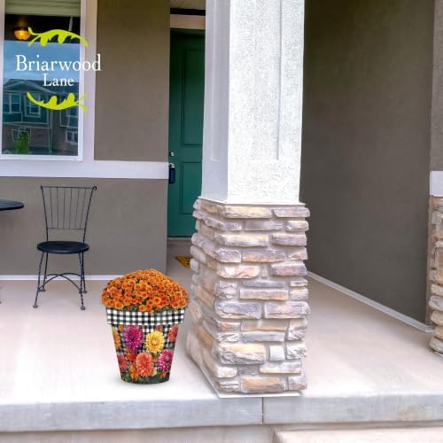 Briarwood Lane Fall Planter 11.75 x 11 x 11 Checkered Mums Medium